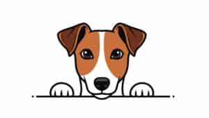 puppy application